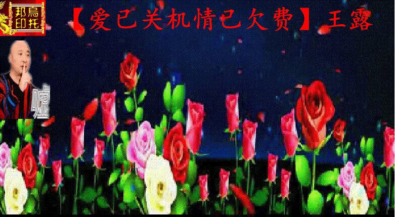 【乌托邦】的主播照片