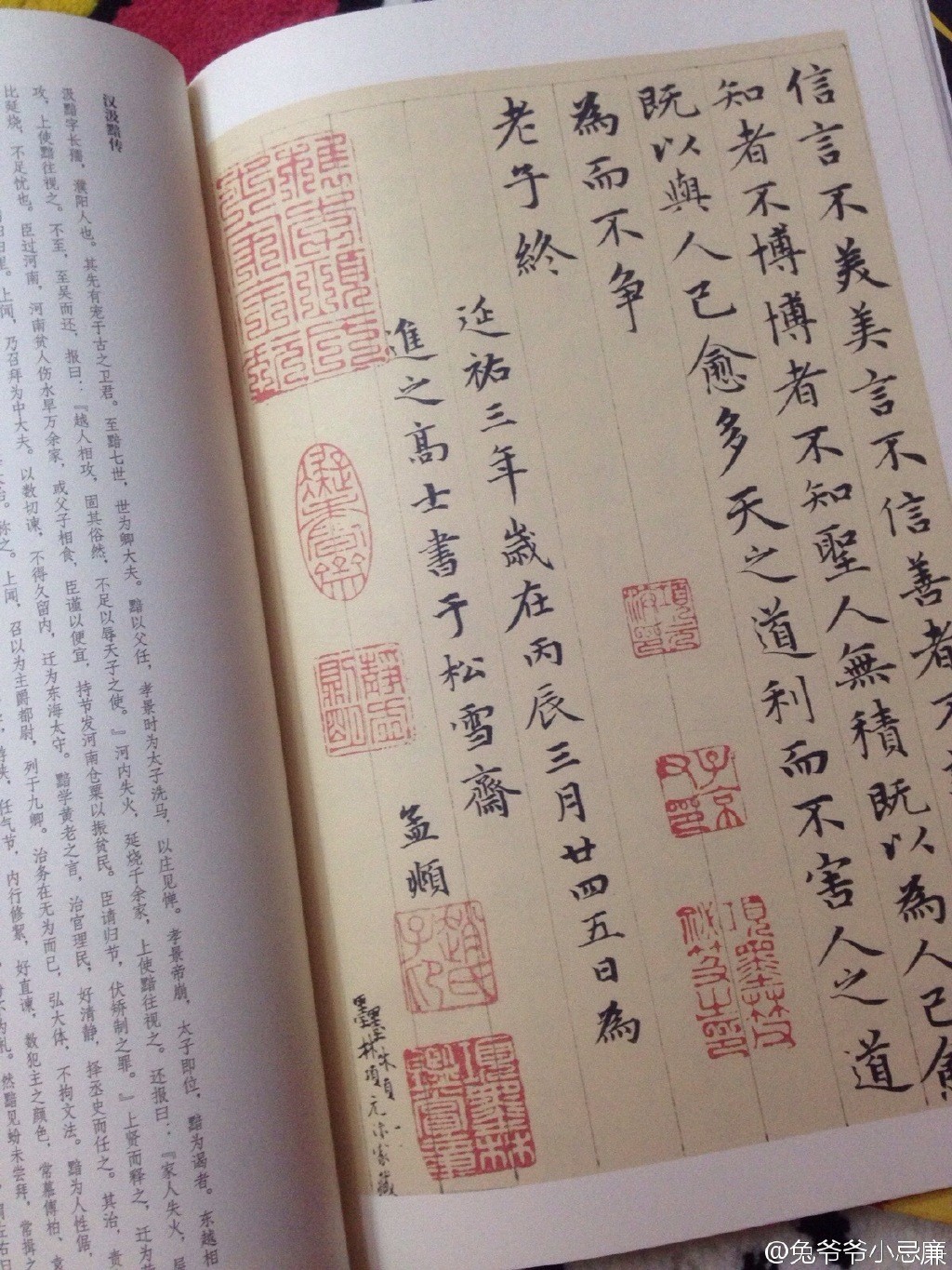 習慣有妮的图片