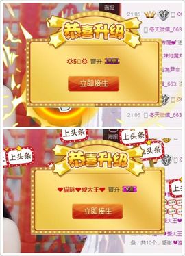 ❤猫咪❤落幕🍂❤主播照片