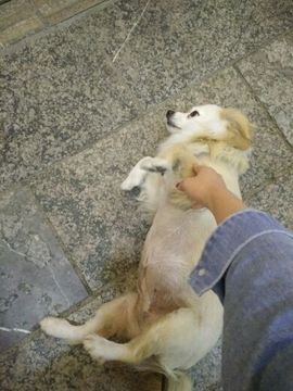 梓柒宝宝求陪伴主播照片
