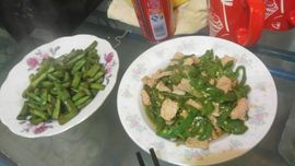 嗷~小熊熊！主播照片