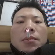 龙腾紫禁248dhu海报