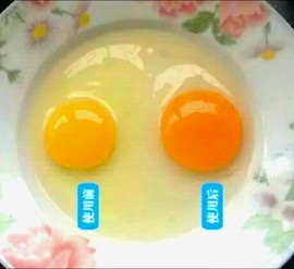 酶菌科技主播照片