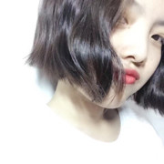 菠萝包来了的头像