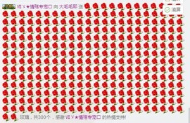 是你的大毛毛呀主播照片