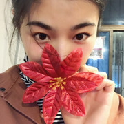 音痴🐟鱼儿