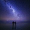 夜的星空e2的头像