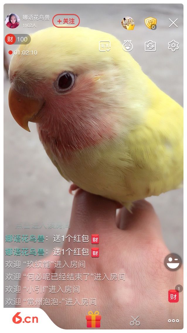 娜语花鸟兽的主播照片