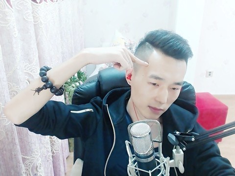 Mc5毛找个家族海报