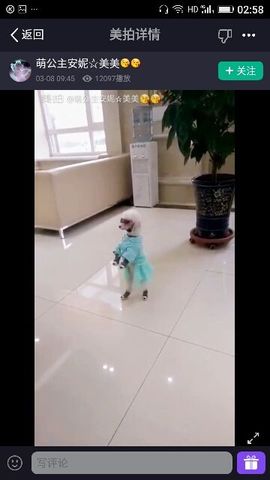✨媳婦⭐求🌙帶走✨主播照片