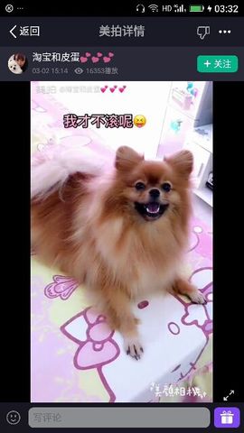 ✨媳婦⭐求🌙帶走✨主播照片