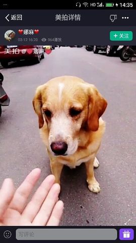 ✨媳婦⭐求🌙帶走✨主播照片