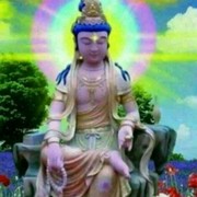王子王宇轩