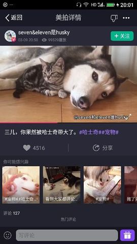 ✨媳婦⭐求🌙帶走✨主播照片