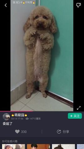 ✨媳婦⭐求🌙帶走✨主播照片