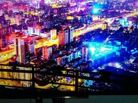 想和你一起看世界主播照片