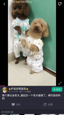 ✨媳婦⭐求🌙帶走✨主播照片
