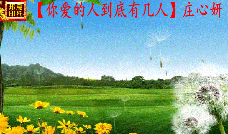 【乌托邦】的主播照片
