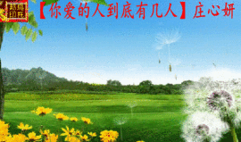 【乌托邦】主播照片