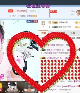 一只雁~主播照片