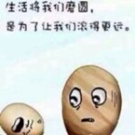 Qs丹青哥