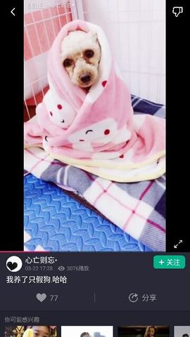 ✨媳婦⭐求🌙帶走✨主播照片