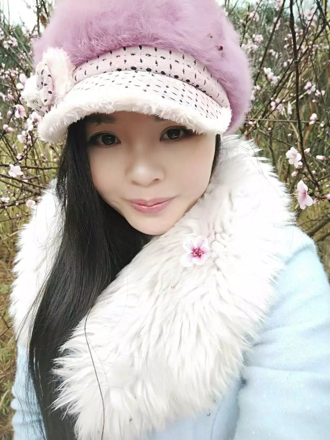 恐龙路线的图片