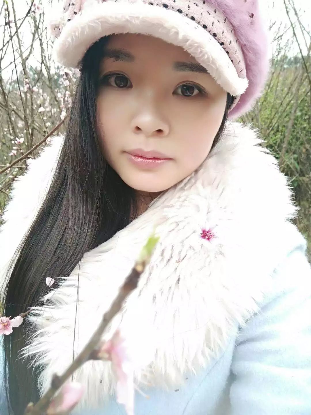 恐龙路线的图片