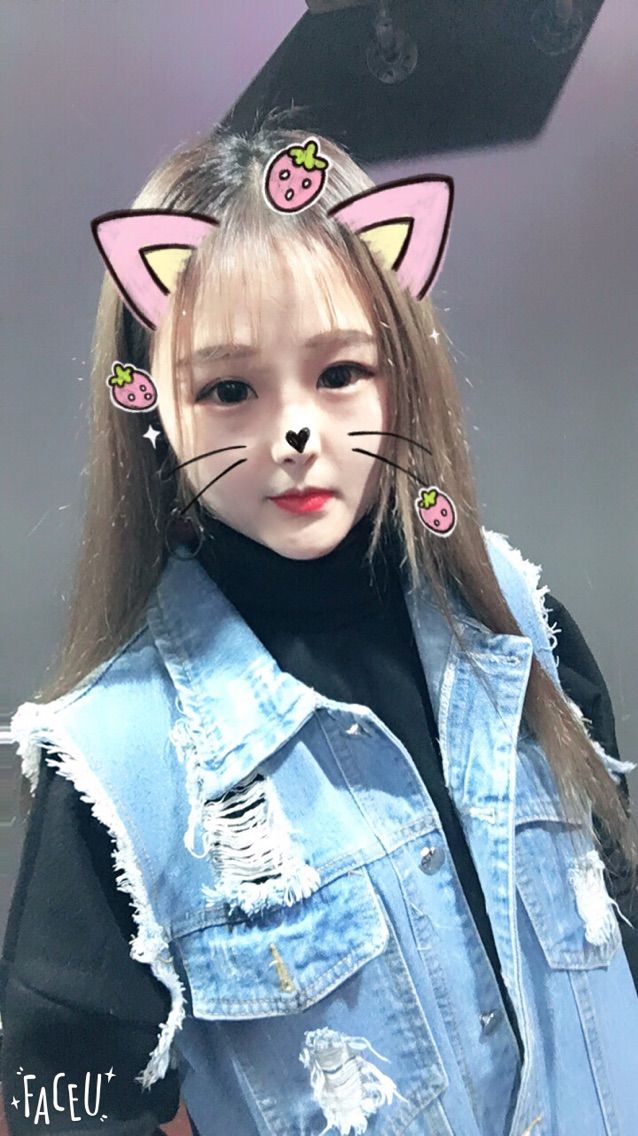 小藏獒baby主播照片