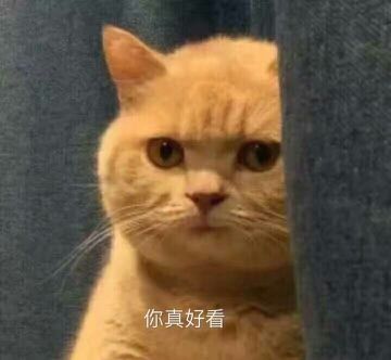 舒晨✿的主播照片