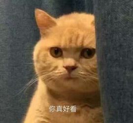 舒晨✿主播照片