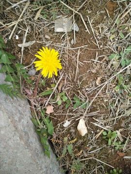 ∠※相惜主播照片