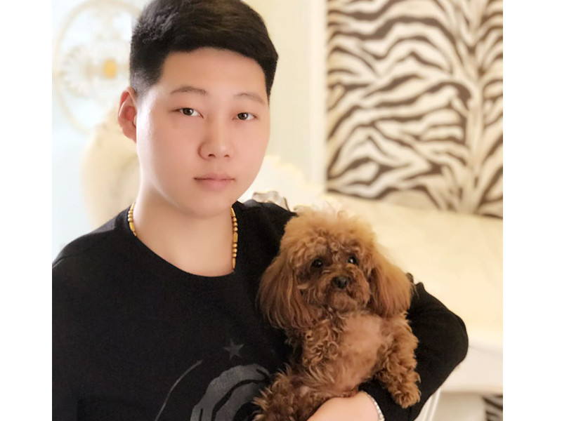 宠物训练营的主播海报