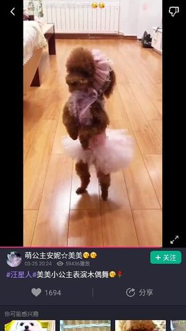 ✨媳婦⭐求🌙帶走✨主播照片