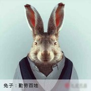 徐爱君