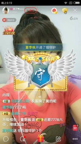 海鸽晚上播主播照片
