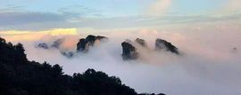 飞_来_峰主播照片