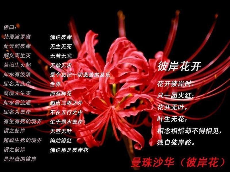 先森不帅的主播照片