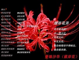 先森不帅主播照片