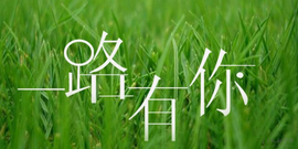 一个游客~主播照片
