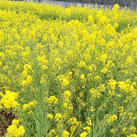木稳稳761837主播照片