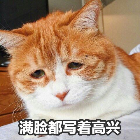 猫瞳姐姐的主播照片