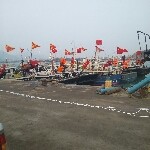 夜行者j2海报