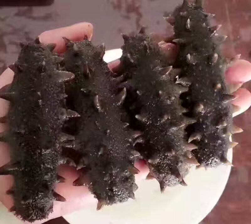 网事如烟......的主播照片