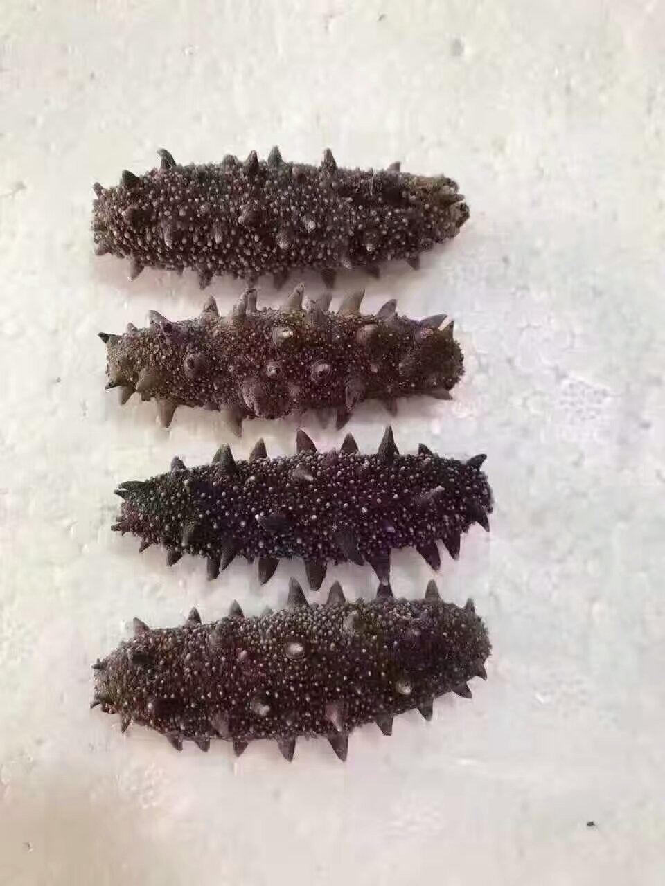网事如烟......的主播照片