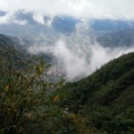 brucecheng海报
