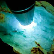 7962388688主播照片