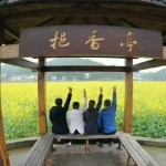 安安静静的听听歌