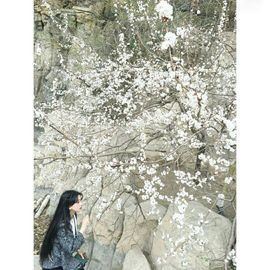 一只小紫霞🌸主播照片