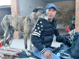 ?85436257的主播照片